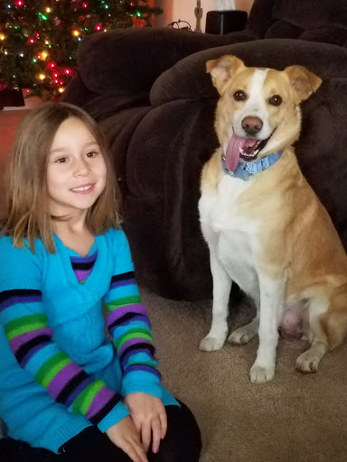 Pet Store «Pets Plus», reviews and photos, 151 Lincoln Hwy, Fairless Hills, PA 19030, USA