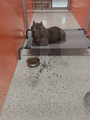 Animal Shelter «KC Pet Project - Main Adoption Center», reviews and photos