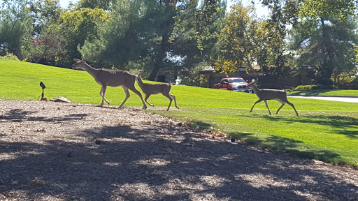 Country Club «Serrano Country Club», reviews and photos, 5005 Serrano Pkwy, El Dorado Hills, CA 95762, USA