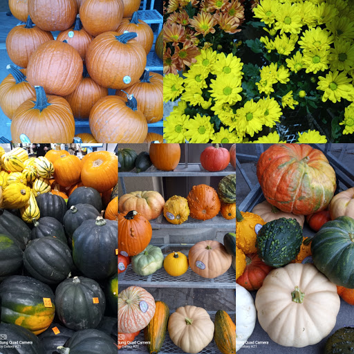 Grocery Store «Whole Foods Market», reviews and photos, 12201 Elm Creek Blvd N, Maple Grove, MN 55369, USA