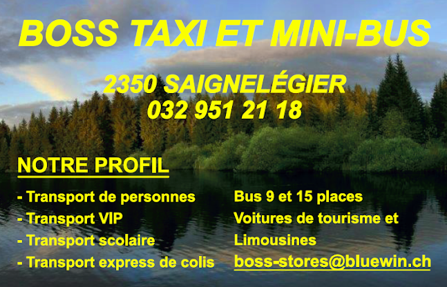 Boss Taxi et Mini-Bus Sàrl - Delsberg