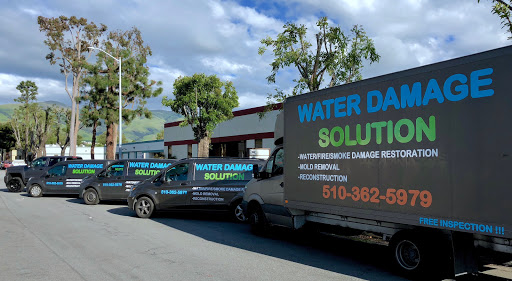 Water Damage Solution