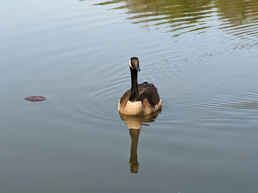 Nature Preserve «Reinstein Woods Nature Preserve», reviews and photos, 93 Honorine Dr, Depew, NY 14043, USA