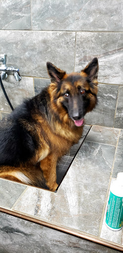 Pet Store «Pet Supermarket», reviews and photos, 2542-2598 S Washington Ave, Titusville, FL 32780, USA