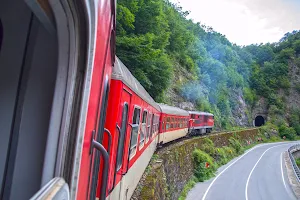 Rhodopes Narrow Gauge Railway Line image