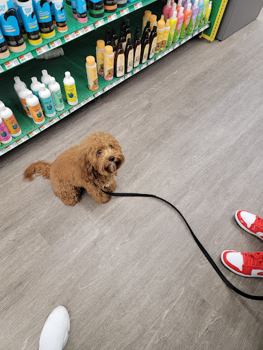 Pet Supply Store «Pet Supplies Plus», reviews and photos, 8170 E Broad St, Reynoldsburg, OH 43068, USA