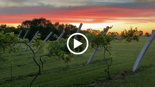 Winery «Duck Creek Vineyard & Winery», reviews and photos, 5046 County Rd R, Denmark, WI 54208, USA
