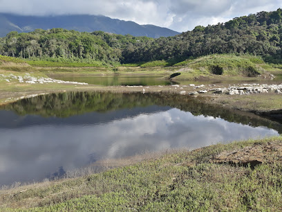 Laguna el Palmar