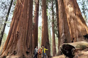 Sequoia Guides image