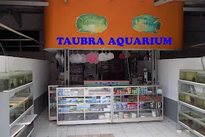 Taubra shop Aquarium image