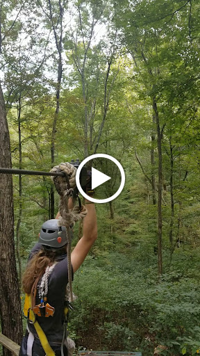 Tourist Attraction «Adventureworks Zipline Forest», reviews and photos, 4129 Whites Creek Pike, Whites Creek, TN 37189, USA