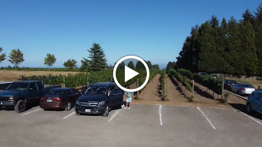 Vineyard «Cubanisimo Vineyards», reviews and photos, 1754 Best Rd NW, Salem, OR 97304, USA