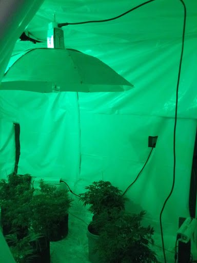 Hardware Store «Bradley Ace Hardware», reviews and photos, 31 44th St SW, Grand Rapids, MI 49548, USA