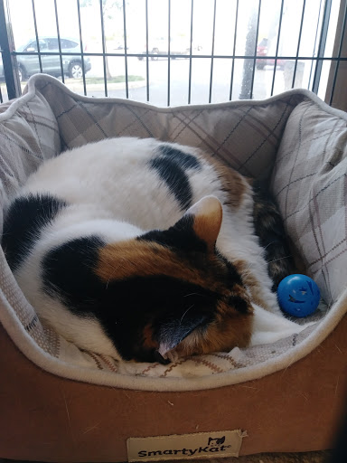 Pet Supply Store «Pet Valu», reviews and photos, 449 Colemans Crossing Blvd, Marysville, OH 43040, USA