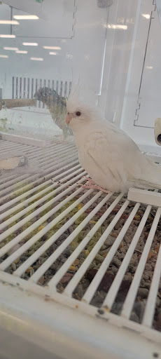 Pet Supply Store «Petco Animal Supplies», reviews and photos, 3110 S Louise Ave, Sioux Falls, SD 57106, USA