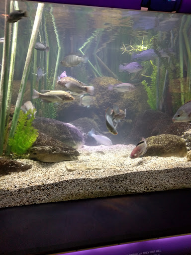 Aquarium «New York Aquarium», reviews and photos, 602 Surf Ave, Brooklyn, NY 11224, USA