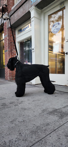 Photo of The Seaport Paw