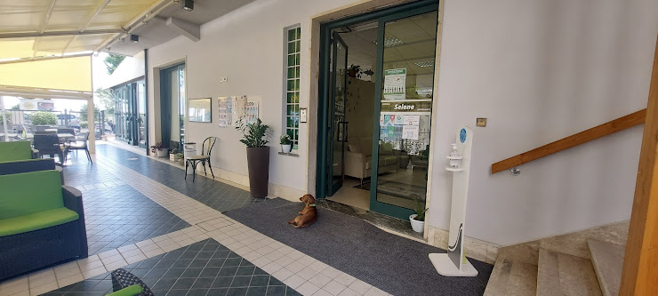 Extérieur hôtels Hotel Ristorante Selene 64011 Alba Adriatica