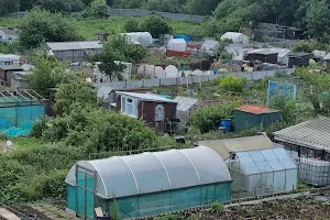 Grenfell Road Allotments image