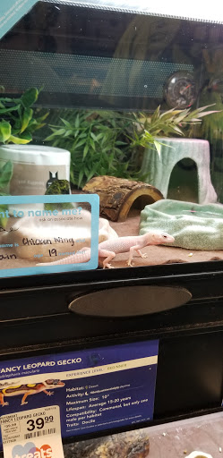 Pet Supply Store «PetSmart», reviews and photos, 5241 Monroe St, Toledo, OH 43623, USA