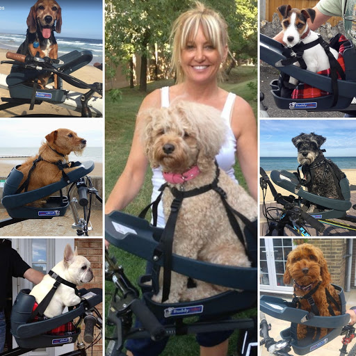 Pet Store «Firehouse Pet Shop & Grooming», reviews and photos, 17 S Wenatchee Ave, Wenatchee, WA 98801, USA