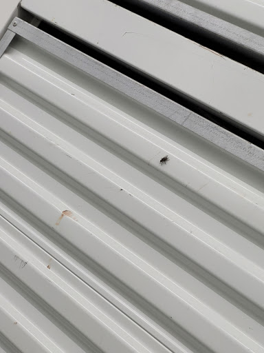 Self-Storage Facility «Storage Post Self Storage Lauderdale Manors», reviews and photos, 2290 NW 19th St, Fort Lauderdale, FL 33311, USA