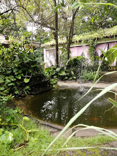 Gay saunas Managua