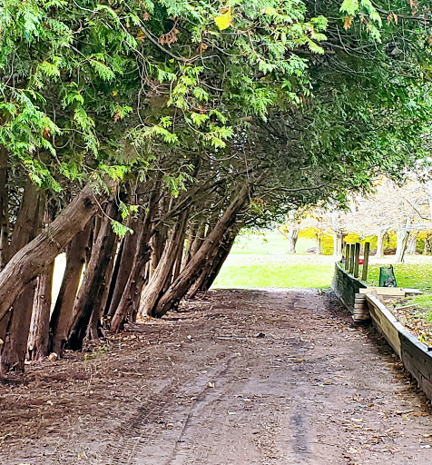 Golf Club «Blossom Trails Golf Club», reviews and photos, 1565 E Britain Ave, Benton Harbor, MI 49022, USA