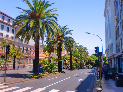 Información y opiniones sobre Shoffer Estudios De Mercado Y Consulting de Santa Cruz De Tenerife