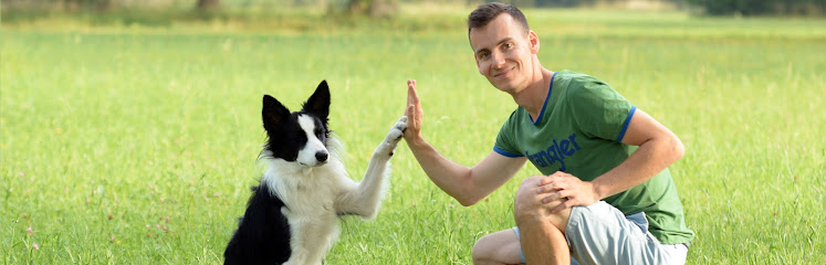 Trenér psů Robert Zlocha: výcvik psů moderními a etickými metodami