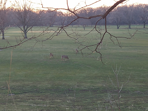 Golf Course «Edgebrook Golf Course», reviews and photos, 6100 N Central Ave, Chicago, IL 60646, USA