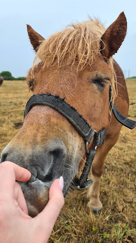 Centre équestre Poney Club De Brevonnes Brévonnes