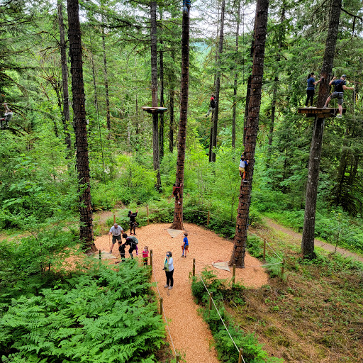 Tourist Attraction «Tree to Tree Adventure Park», reviews and photos, 2975 SW Nelson Rd, Gaston, OR 97119, USA