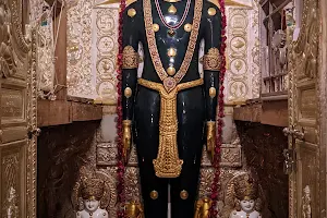 Shree Jain Shwetamber Nageshwar Parshwanath Tirth image