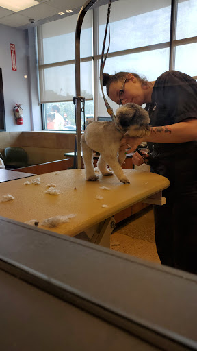 Pet Supply Store «PetSmart», reviews and photos, 1600 N Jackson St #310, Tullahoma, TN 37388, USA