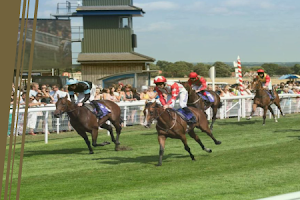 Beverley Racecourse image