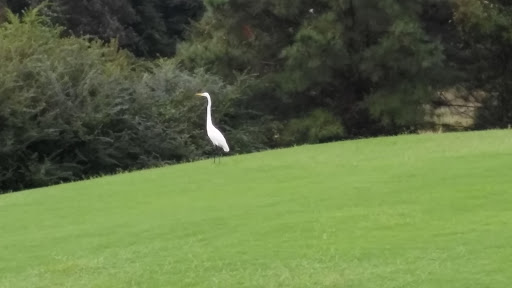 Golf Club «Riverfront Golf Club», reviews and photos, 5200 River Club Dr, Suffolk, VA 23435, USA