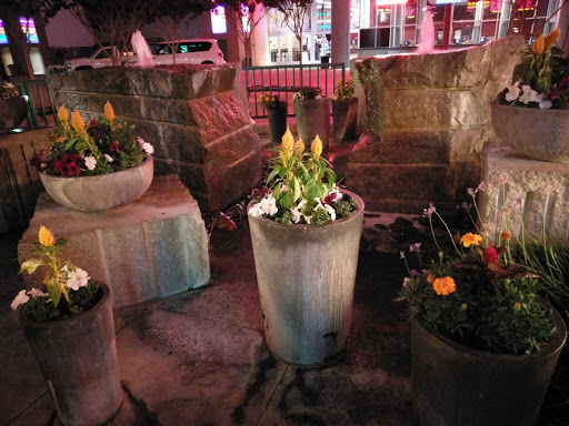 Coffee Shop «Starbucks», reviews and photos, 4930 Dublin Blvd #500, Dublin, CA 94568, USA