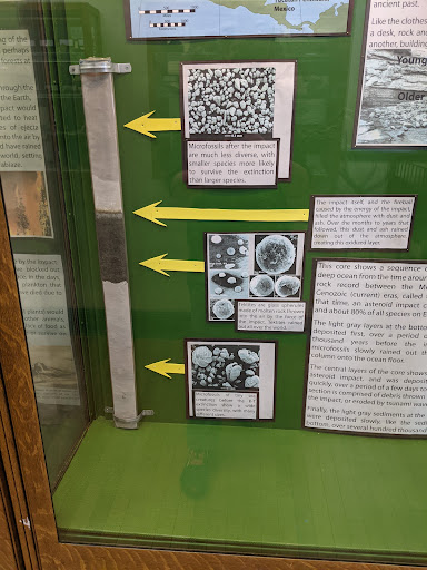 Museum «Rutgers Geology Museum», reviews and photos, 85 Somerset St, New Brunswick, NJ 08901, USA