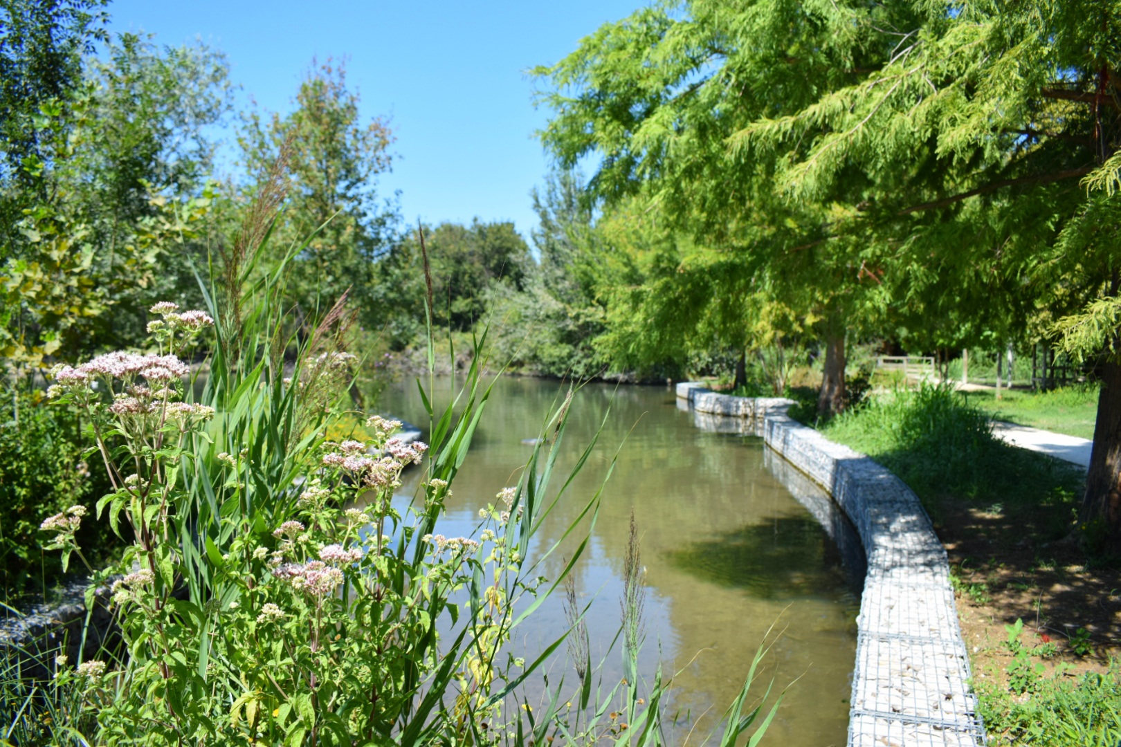 Photo n° 8 de l'avis de Zaza.e fait le 19/08/2021 à 16:53