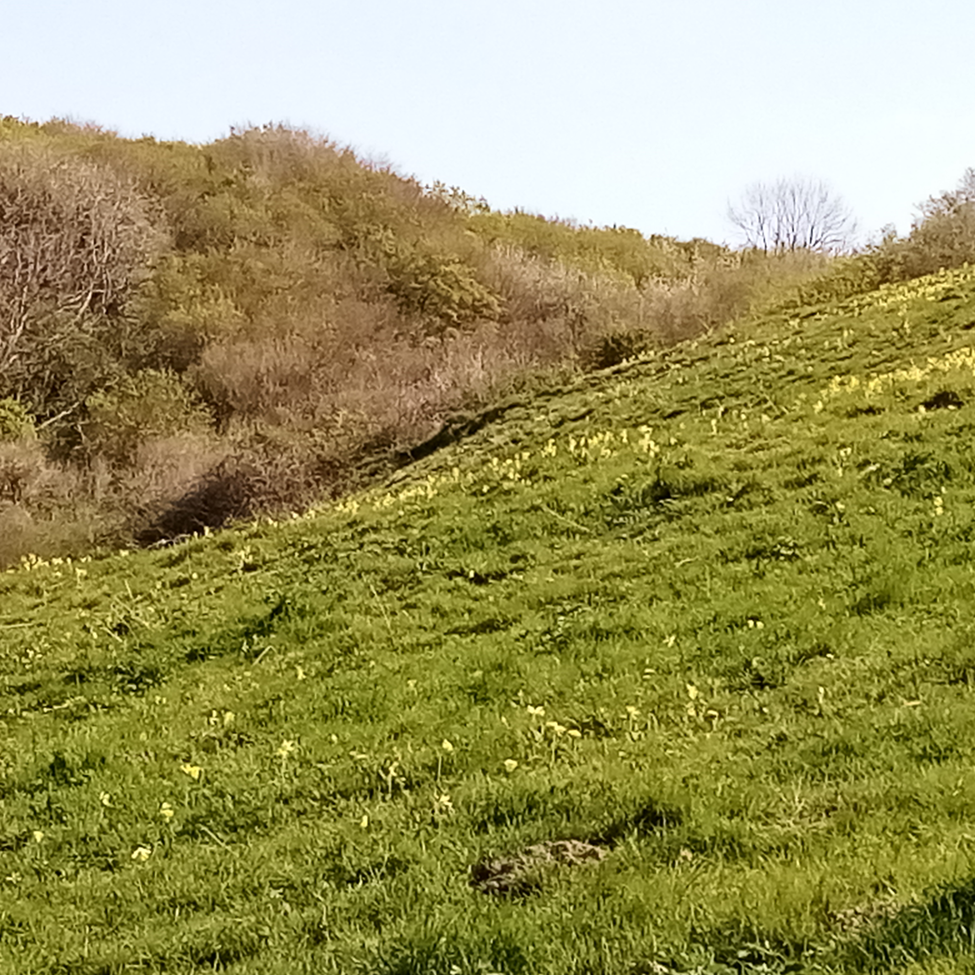 Photo n° 3 de l'avis de Sabrina.i fait le 24/04/2022 à 11:41