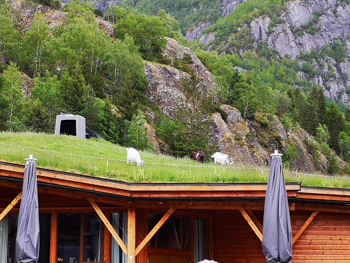 Norsk Natursenter Hardanger