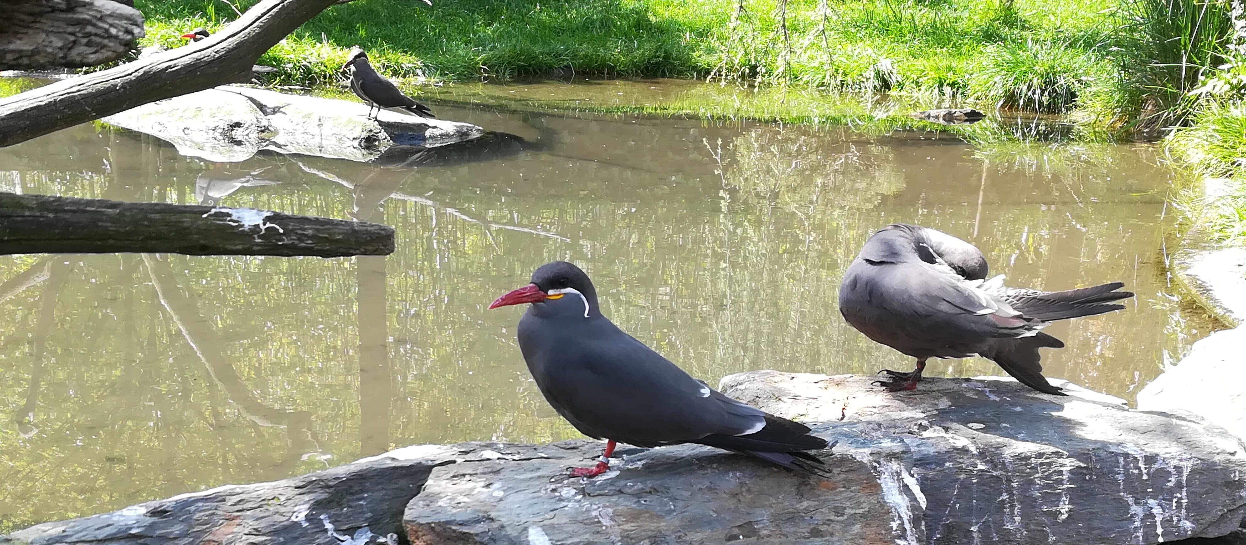 Photo n° 38 de l'avis de Sarah.L fait le 21/04/2018 à 18:44