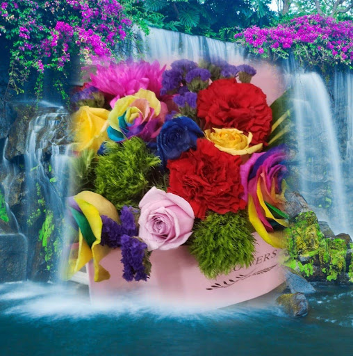 Florist «State Street Flowers & More», reviews and photos, 8401 State St, South Gate, CA 90280, USA