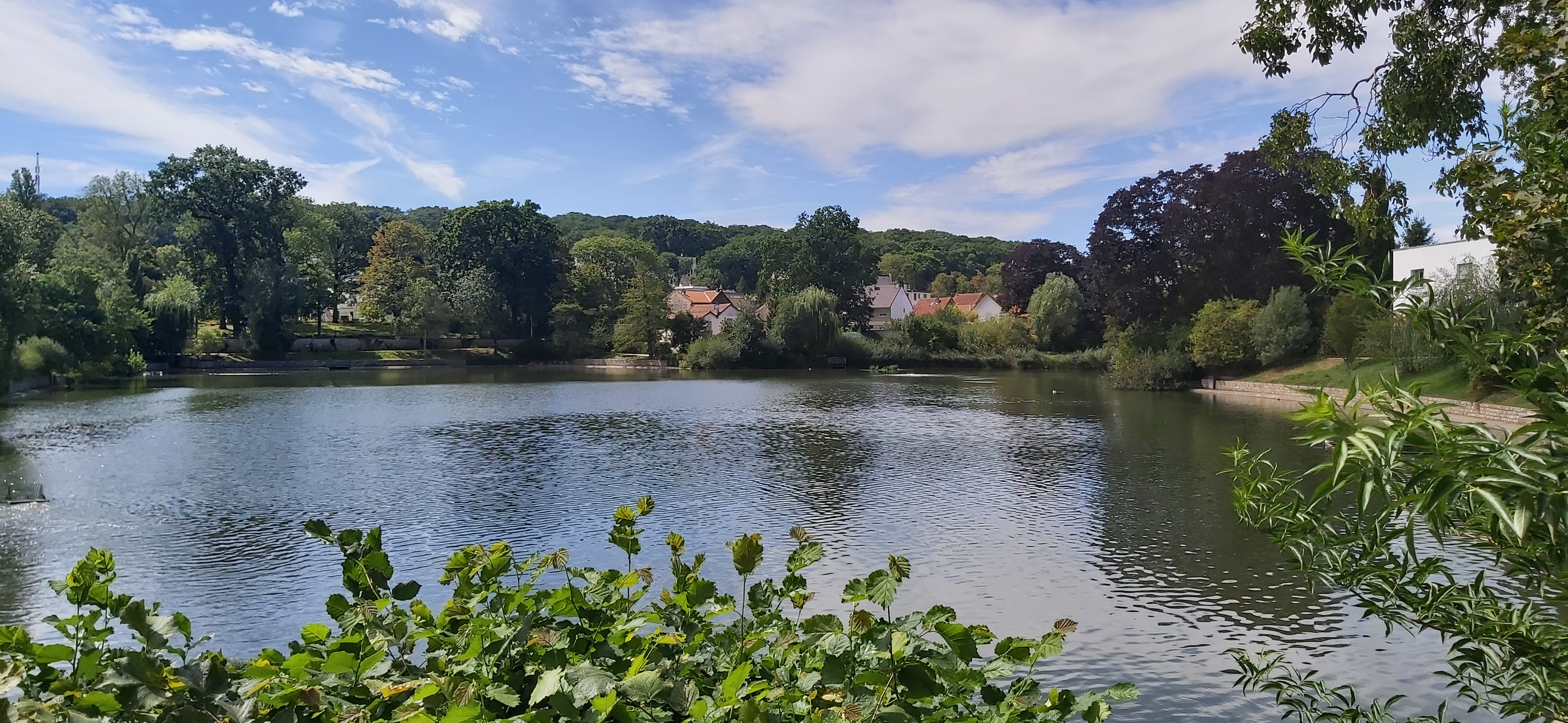 Photo n° 2 de l'avis de Sonia.I fait le 21/08/2020 à 12:20