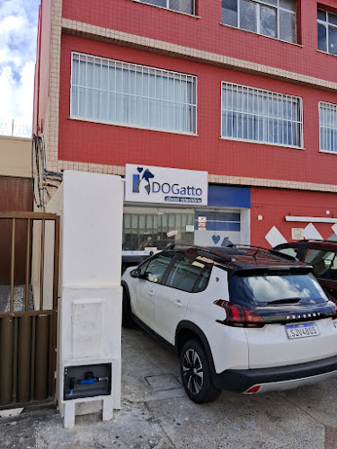 Comentários e avaliações sobre Clínica Veterinária DOGatto