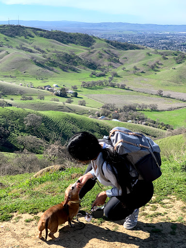 Park «Pena Adobe Regional Park», reviews and photos, 4699 Peña Adobe Rd, Vacaville, CA 95687, USA