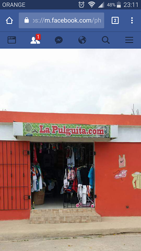 La Pulguita.com