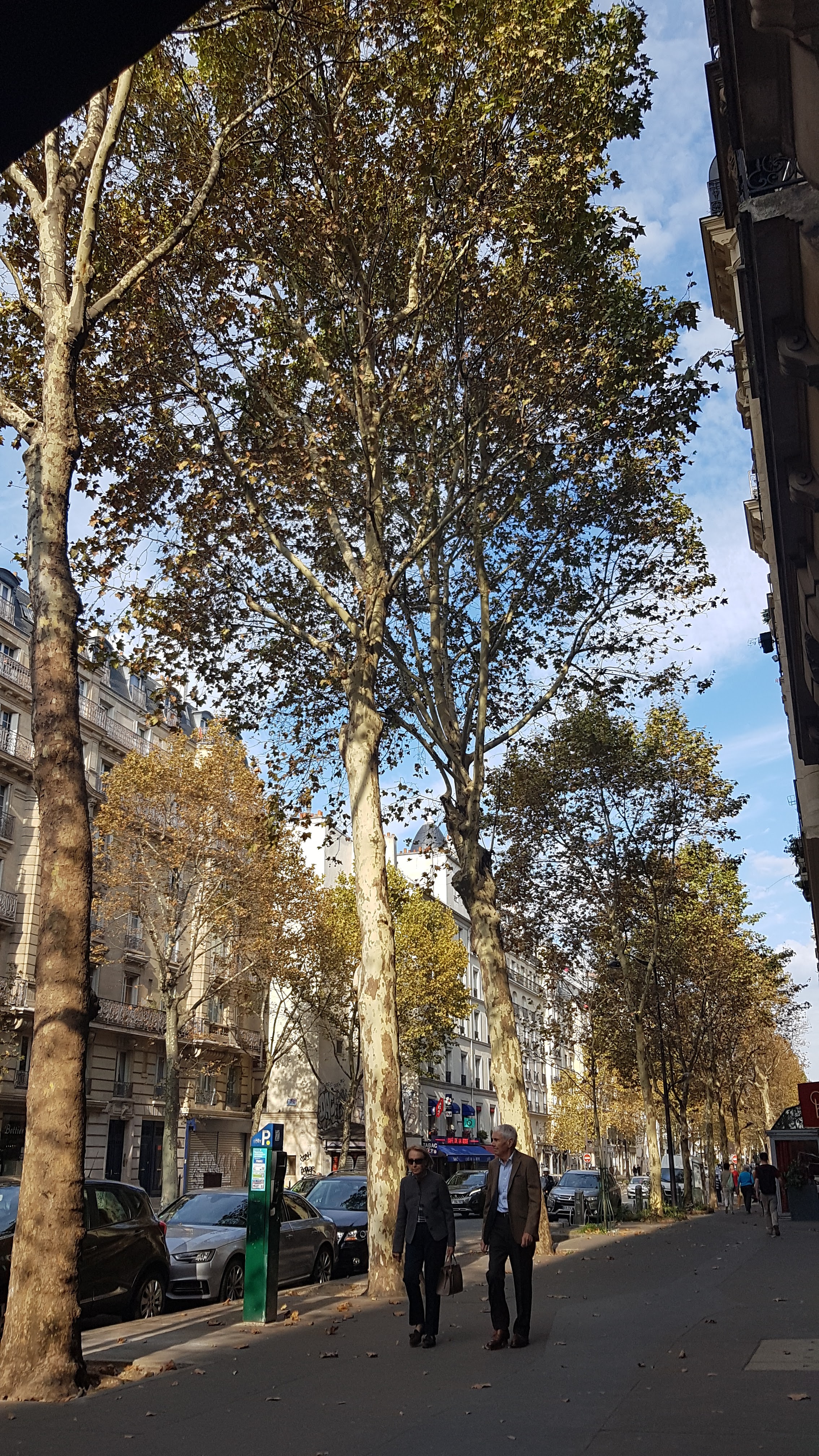 Photo n° 3 de l'avis de Barbara.a fait le 06/10/2018 à 15:07