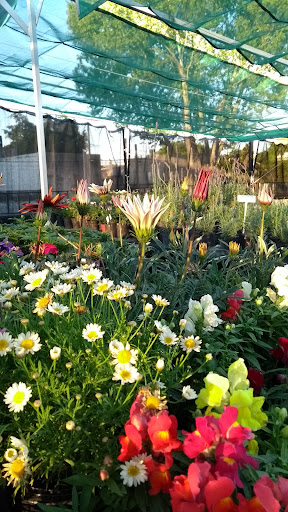 Vivero Estación Quebracho